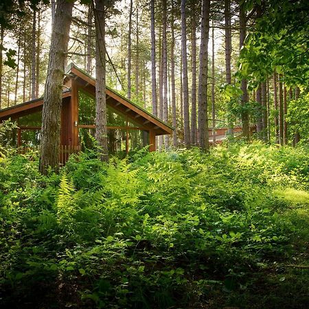 Blackwood Forest Cabins - Forest Holidays Popham Екстер'єр фото