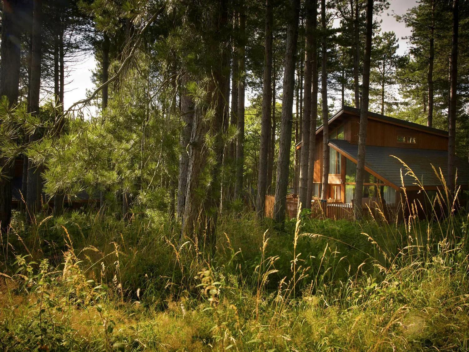 Blackwood Forest Cabins - Forest Holidays Popham Екстер'єр фото