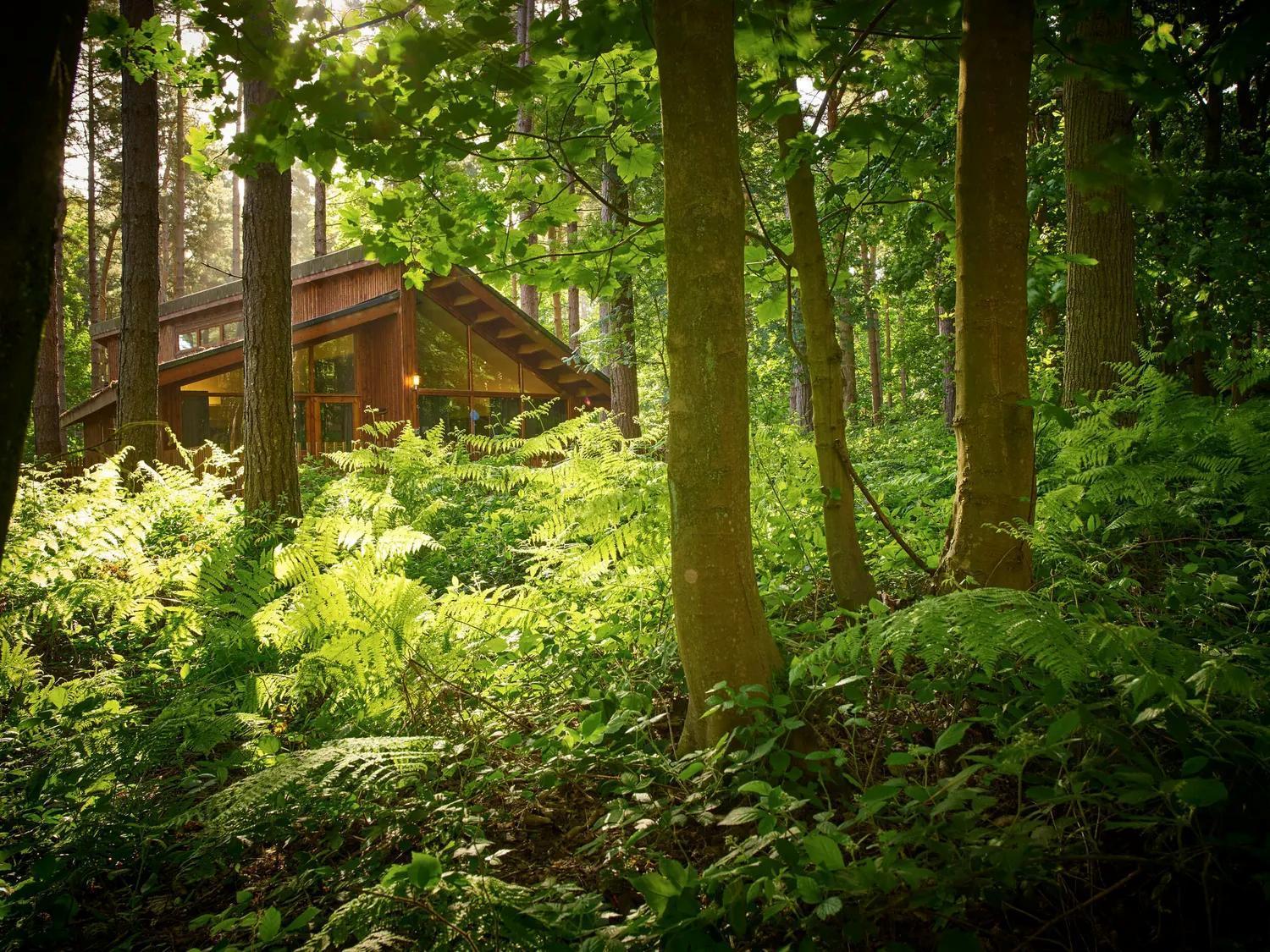 Blackwood Forest Cabins - Forest Holidays Popham Екстер'єр фото