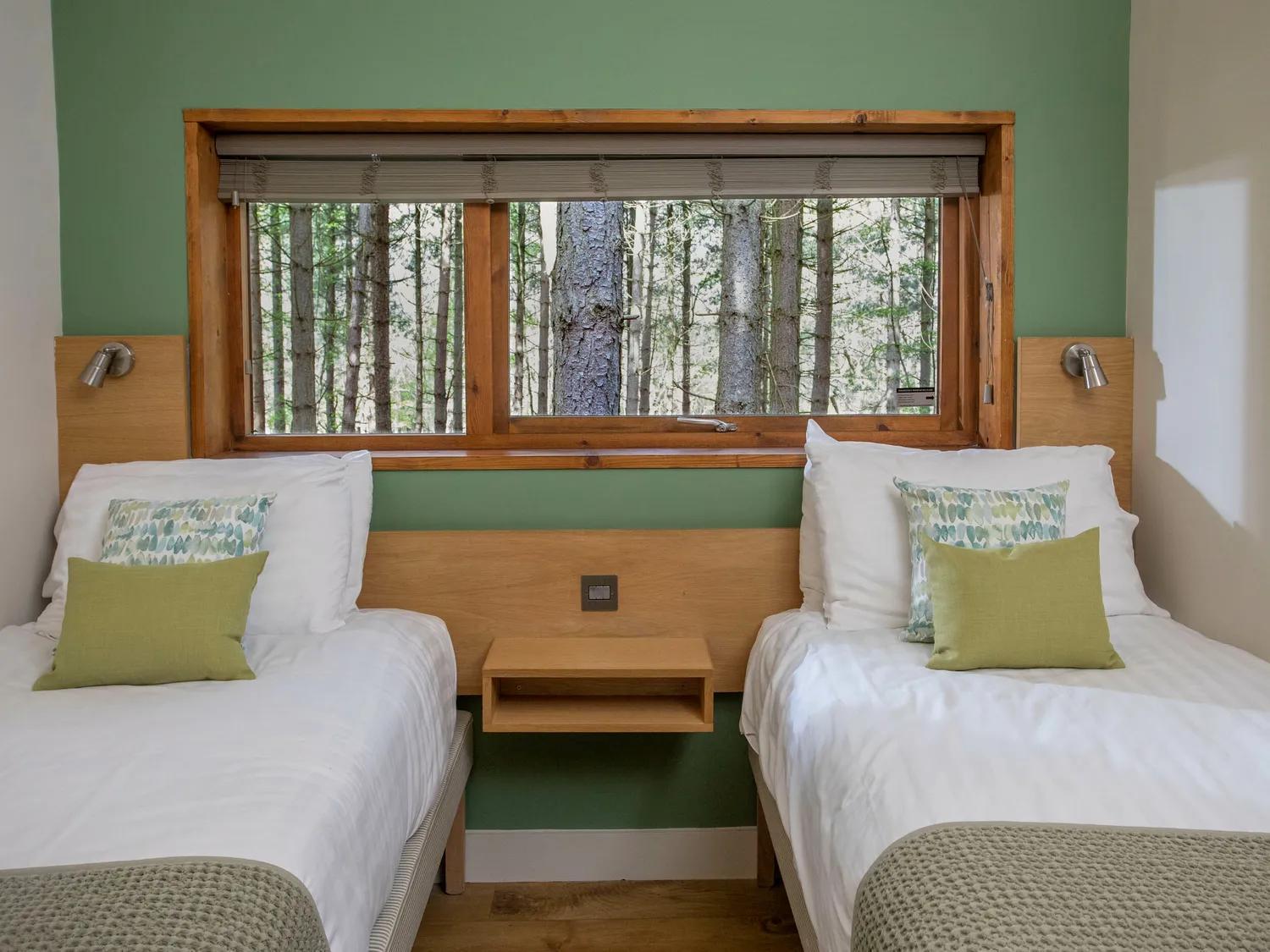 Blackwood Forest Cabins - Forest Holidays Popham Екстер'єр фото