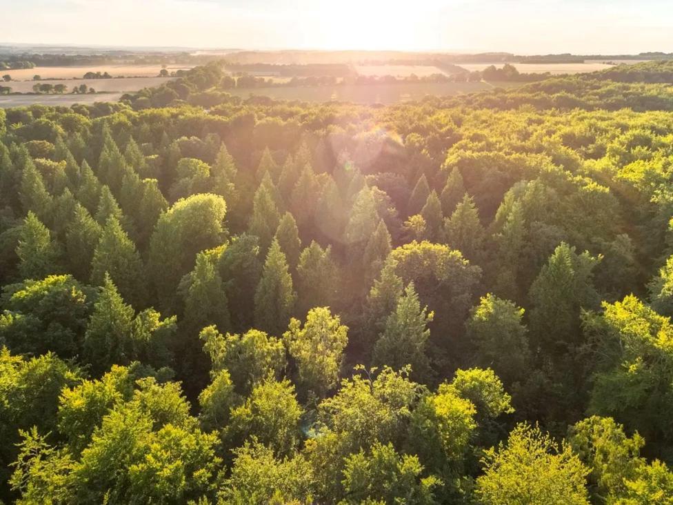 Blackwood Forest Cabins - Forest Holidays Popham Екстер'єр фото