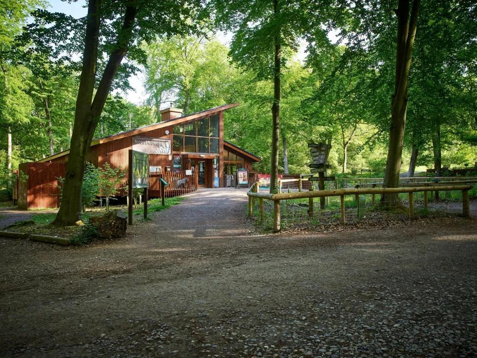 Blackwood Forest Cabins - Forest Holidays Popham Екстер'єр фото