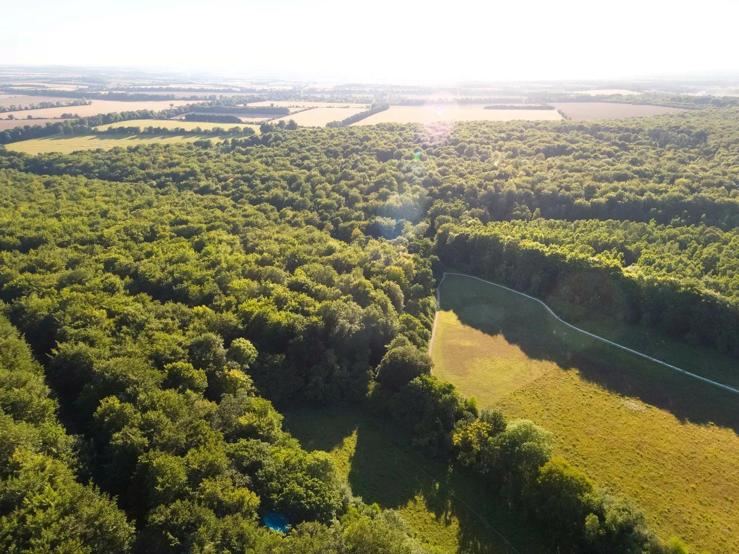 Blackwood Forest Cabins - Forest Holidays Popham Екстер'єр фото